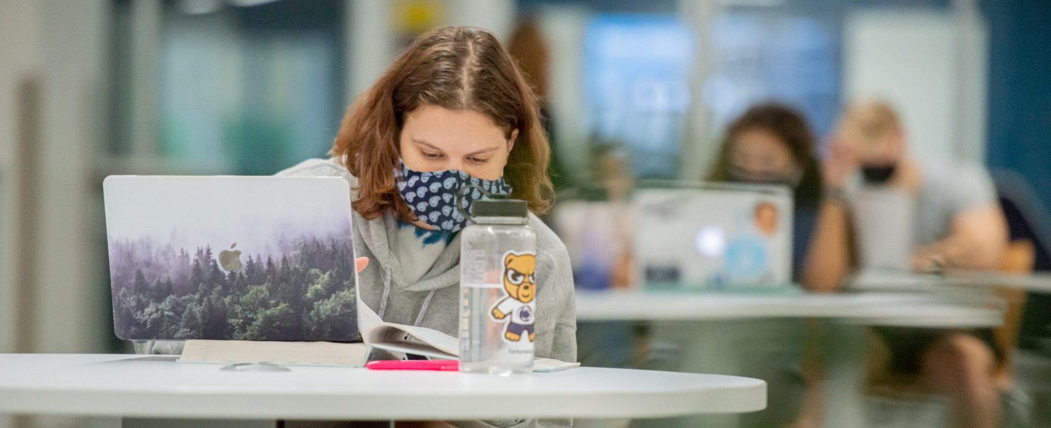 Student wearing mast at laptop